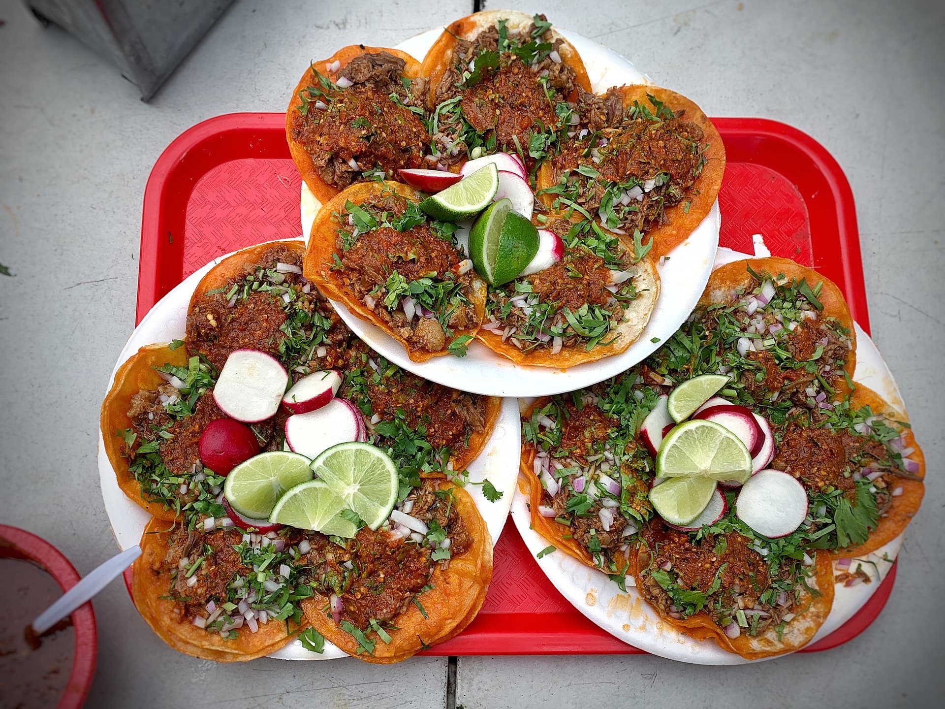 Birria Tacos prepared as a finished dish
