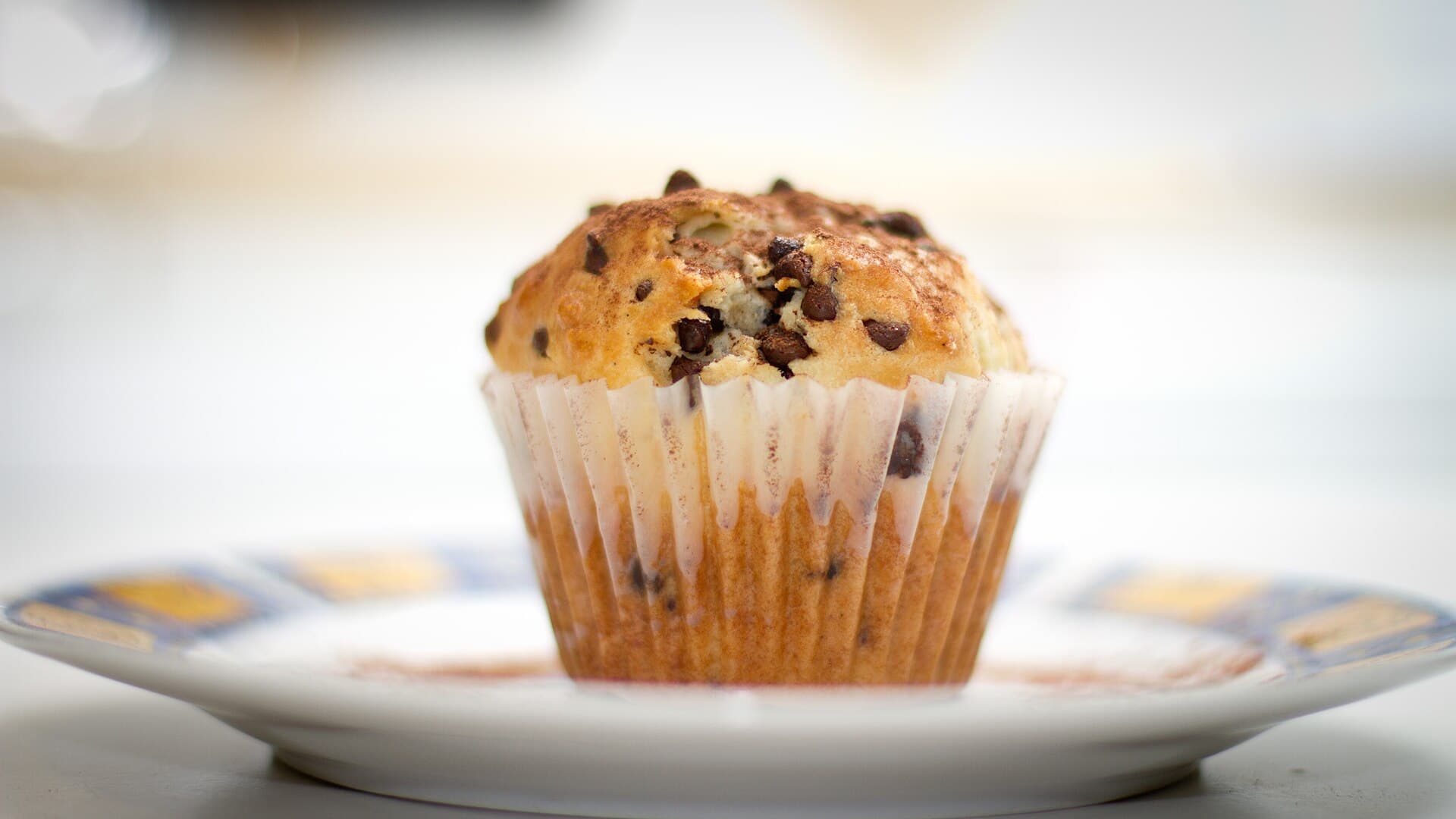 Chocolate Chip Muffins prepared as a finished dish