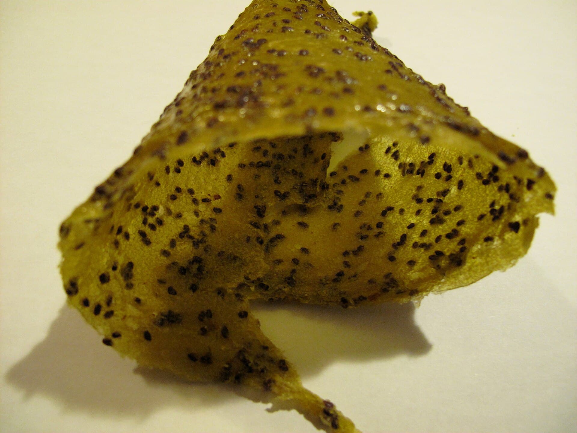 Fruit Leather prepared as a finished dish
