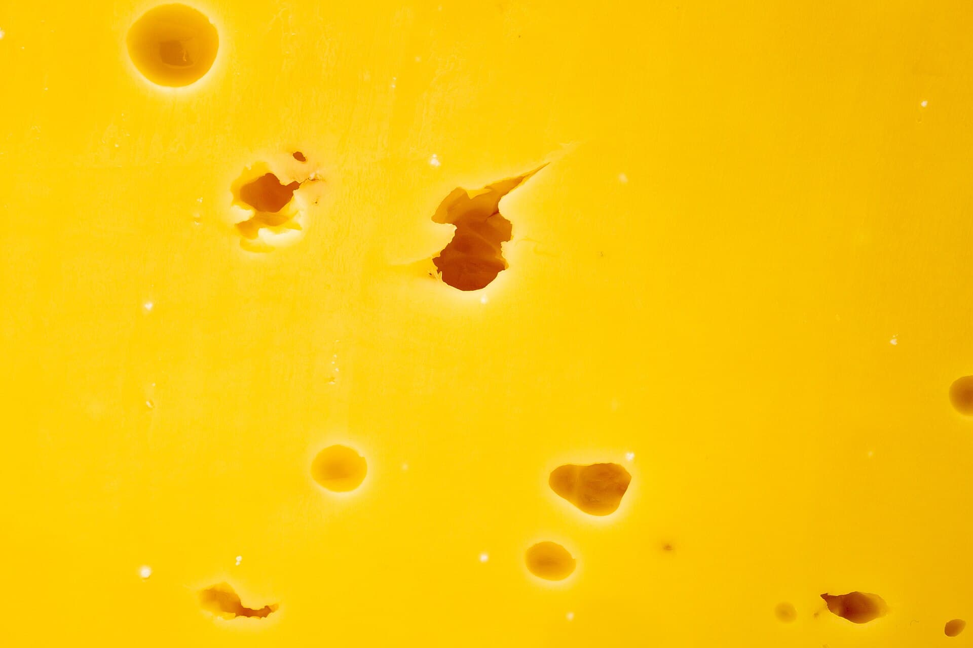 Gouda cheese