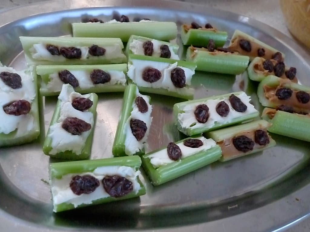 Ants on a Log prepared as a finished dish