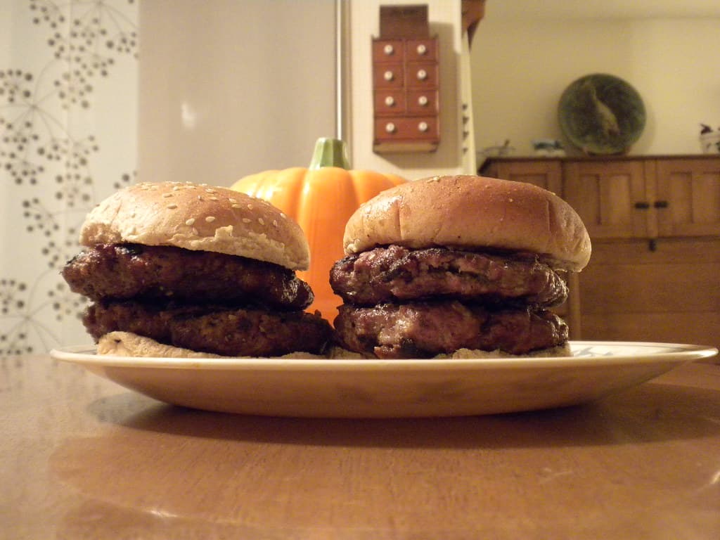 Bison Burgers prepared as a finished dish