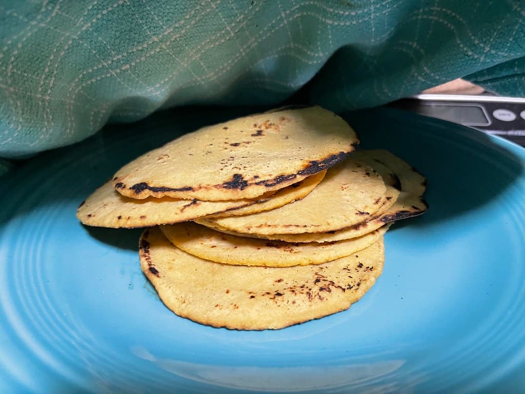 Corn Tortillas prepared as a finished dish