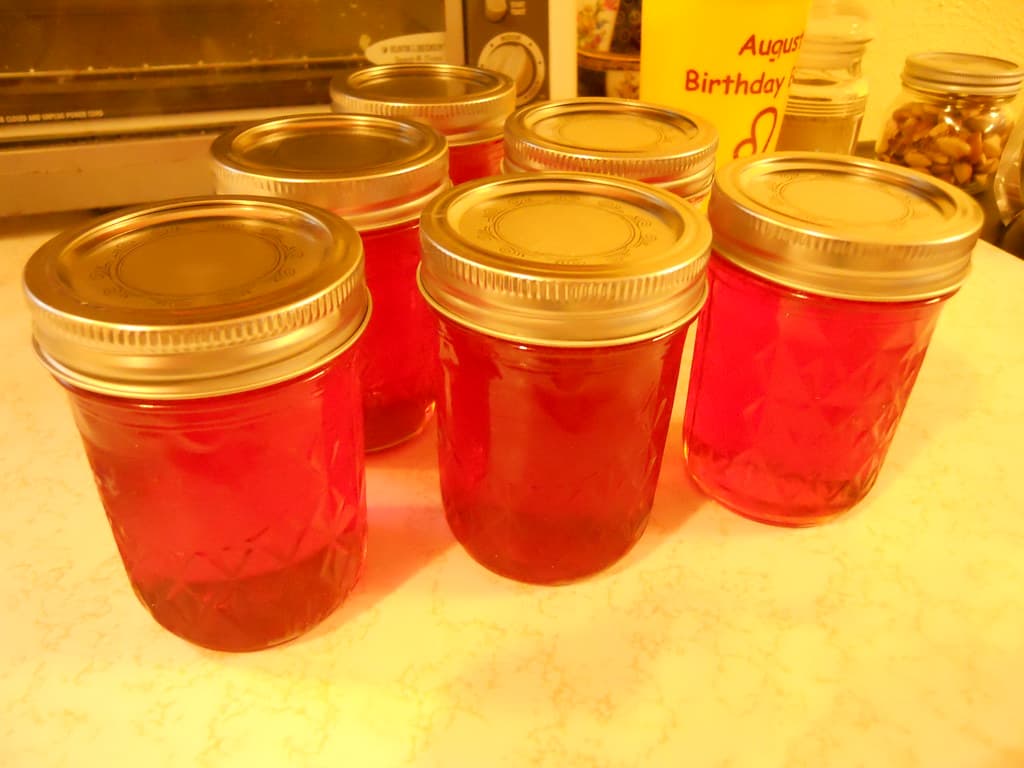 Prickly Pear Jelly prepared as a finished dish