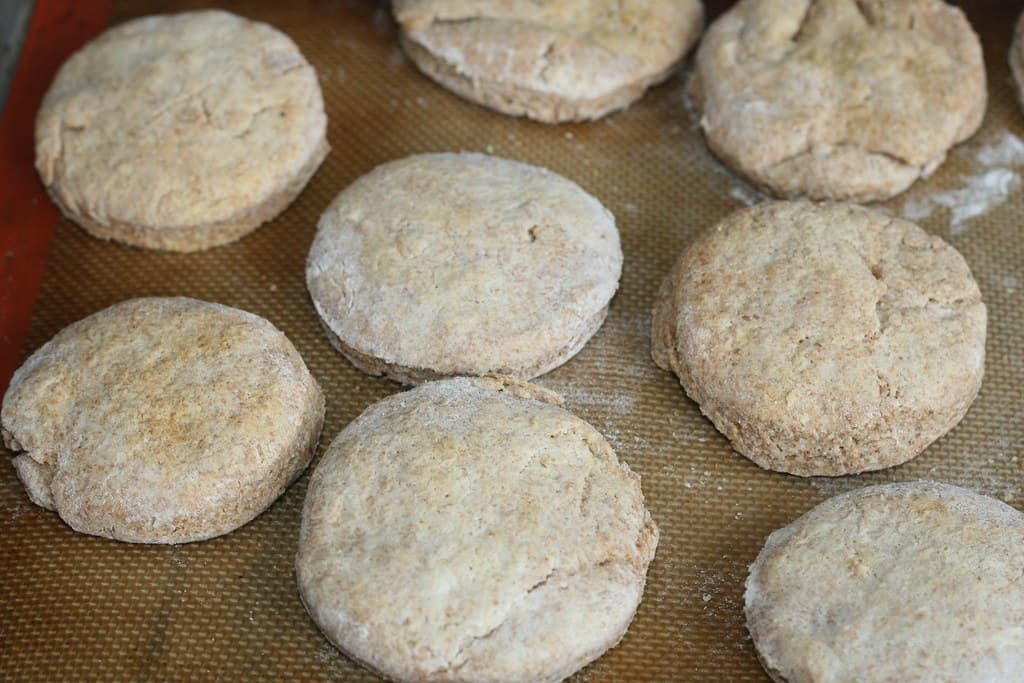 Sourdough Biscuits prepared as a finished dish